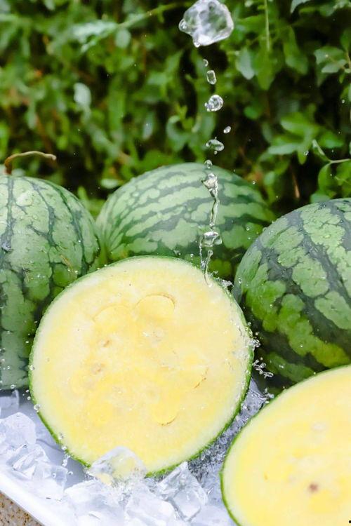 娱乐圈的吃瓜er爆的料,揭秘明星背后的惊人真相！