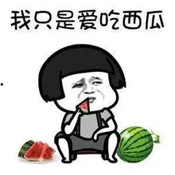 娱乐圈什么真瓜可以吃