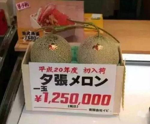 吃瓜娱乐群众1号,揭秘娱乐圈幕后故事