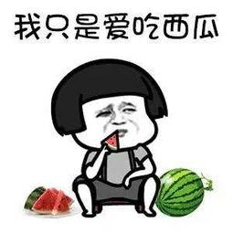 吃瓜娱乐作者有哪些,盘点知名作者风采