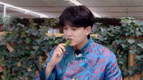 任嘉伦吃瓜娱乐,揭秘明星幕后趣事